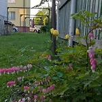 Aia Kodu Lägenhet *
