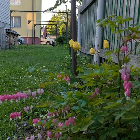 Aia Kodu Korter *